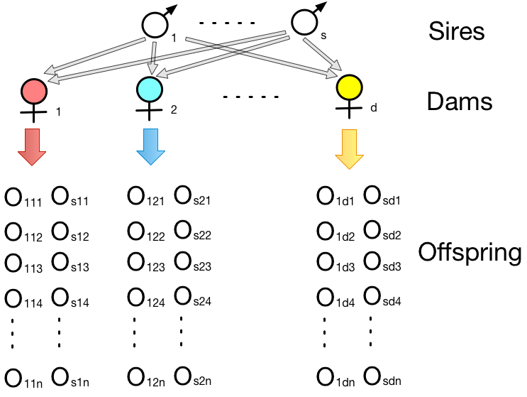 Estimation Of Heritability